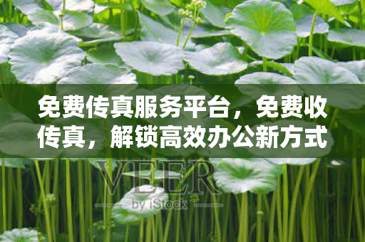 免费传真服务平台，免费收传真，解锁高效办公新方式