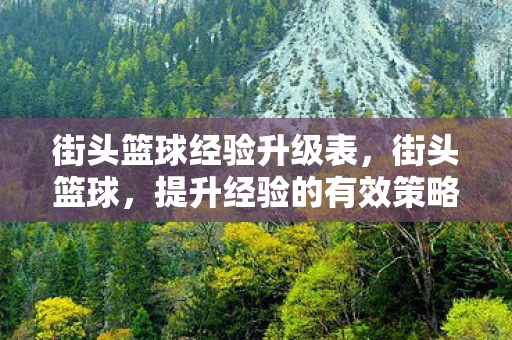 街头篮球经验升级表，街头篮球，提升经验的有效策略