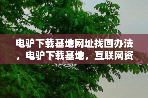 电驴下载基地网址找回办法，电驴下载基地，互联网资源探索的乐园