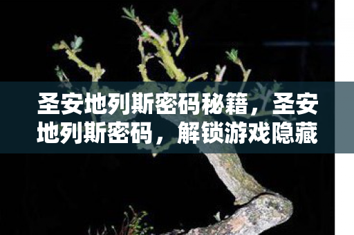 圣安地列斯密码秘籍,圣安地列斯密码,解锁游戏隐藏内容的神秘钥匙 圣安地列斯密码秘籍,圣安地列斯密码,解锁游戏隐藏内容的神秘钥匙