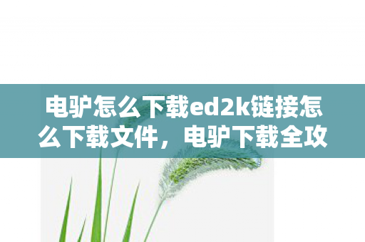 电驴怎么下载ed2k链接怎么下载文件，电驴下载全攻略，安全、高效、合法的资源获取方式