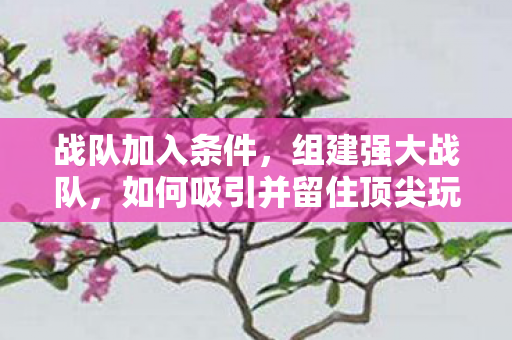战队加入条件,组建强大战队,如何吸引并留住顶尖玩家 战队加入条件,组建强大战队,如何吸引并留住顶尖玩家