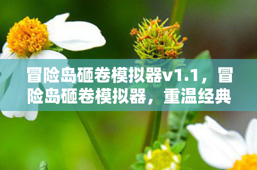 冒险岛砸卷模拟器v1.1,冒险岛砸卷模拟器,重温经典,挑战无限可能 冒险岛砸卷模拟器v1.1,冒险岛砸卷模拟器,重温经典,挑战无限可能