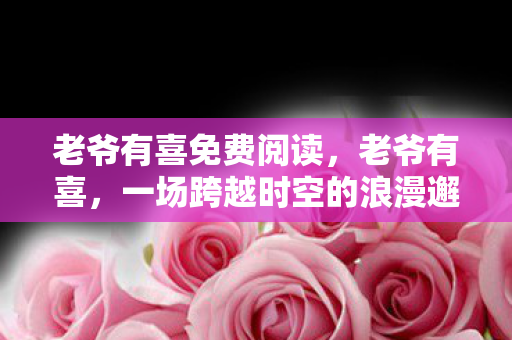 老爷有喜免费阅读，老爷有喜，一场跨越时空的浪漫邂逅