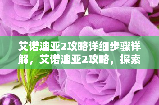 艾诺迪亚2攻略详细步骤详解,艾诺迪亚2攻略,探索未知,挑战极限 艾诺迪亚2攻略详细步骤详解,艾诺迪亚2攻略,探索未知,挑战极限