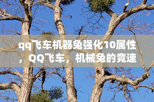 qq飞车机器兔强化10属性,QQ飞车,机械兔的竞速传奇 qq飞车机器兔强化10属性,QQ飞车,机械兔的竞速传奇