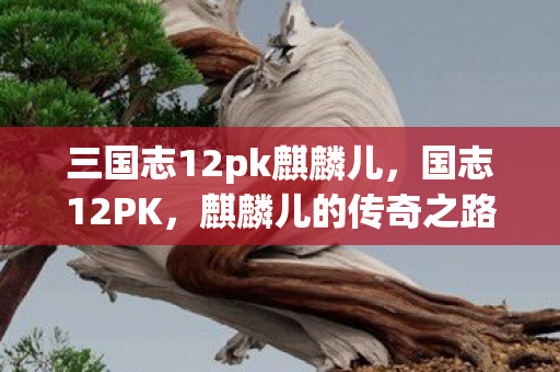 三国志12pk麒麟儿，国志12PK，麒麟儿的传奇之路