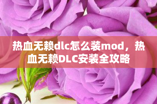 热血无赖dlc怎么装mod,热血无赖DLC安装全攻略 热血无赖dlc怎么装mod,热血无赖DLC安装全攻略