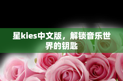 星kies中文版，解锁音乐世界的钥匙