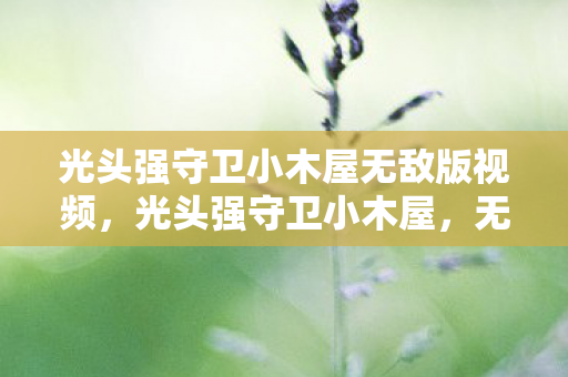 光头强守卫小木屋无敌版视频，光头强守卫小木屋，无敌版策略与乐趣的完美结合