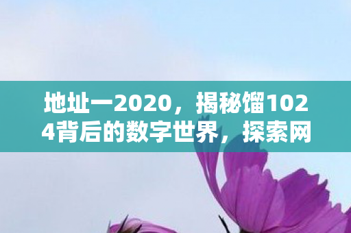 地址一2020,揭秘馏1024背后的数字世界,探索网络地址的奥秘 地址一2020,揭秘馏1024背后的数字世界,探索网络地址的奥秘