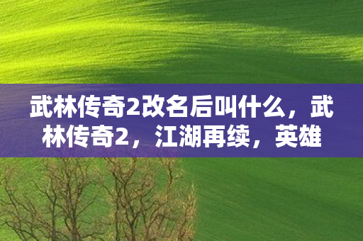 武林传奇2改名后叫什么,武林传奇2,江湖再续,英雄辈出 武林传奇2改名后叫什么,武林传奇2,江湖再续,英雄辈出