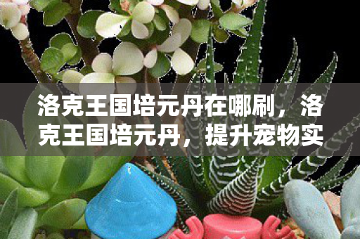 洛克王国培元丹在哪刷，洛克王国培元丹，提升宠物实力的神秘丹药