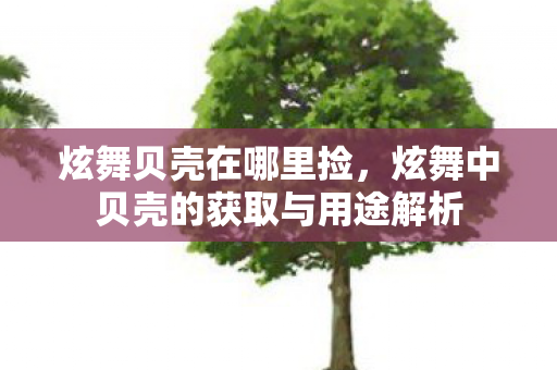 炫舞贝壳在哪里捡,炫舞中贝壳的获取与用途解析 炫舞贝壳在哪里捡,炫舞中贝壳的获取与用途解析