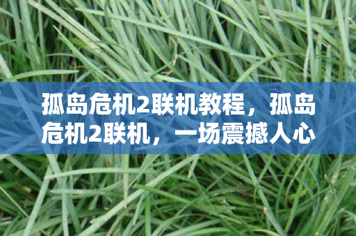 孤岛危机2联机教程，孤岛危机2联机，一场震撼人心的科幻射击盛宴