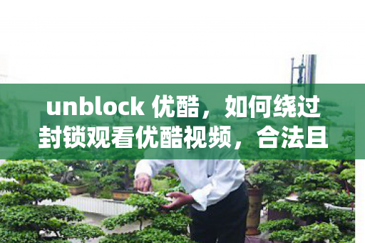 unblock 优酷，如何绕过封锁观看优酷视频，合法且高效的方法