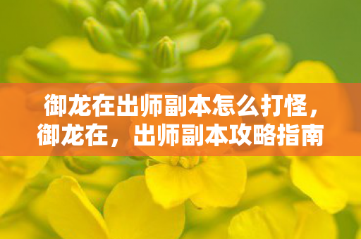 御龙在出师副本怎么打怪,御龙在,出师副本攻略指南 御龙在出师副本怎么打怪,御龙在,出师副本攻略指南
