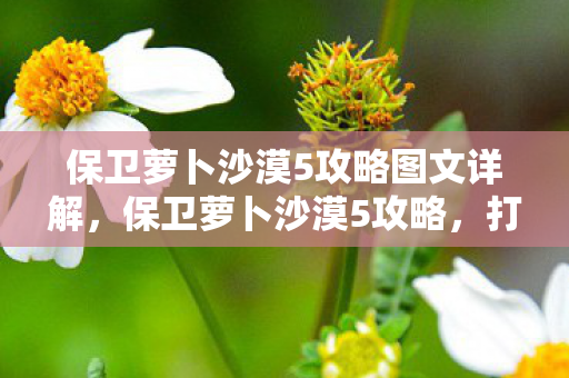 保卫萝卜沙漠5攻略图文详解,保卫萝卜沙漠5攻略,打造无敌防御,轻松过关! 保卫萝卜沙漠5攻略图文详解,保卫萝卜沙漠5攻略,打造无敌防御,轻松过关!