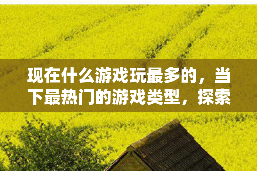现在什么游戏玩最多的,当下最热门的游戏类型,探索玩家们的选择 现在什么游戏玩最多的,当下最热门的游戏类型,探索玩家们的选择