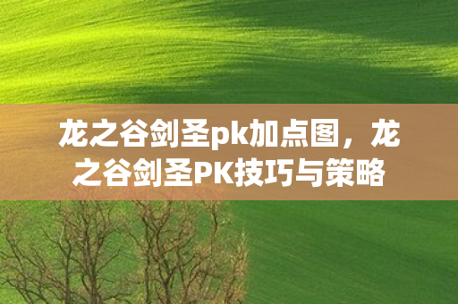 龙之谷剑圣pk加点图,龙之谷剑圣PK技巧与策略 龙之谷剑圣pk加点图,龙之谷剑圣PK技巧与策略