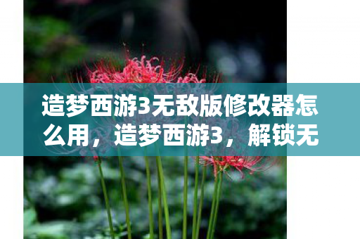 造梦西游3无敌版修改器怎么用，造梦西游3，解锁无敌版，打造你的专属冒险之旅