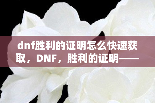 dnf胜利的证明怎么快速获取,DNF,胜利的证明——勇者的荣耀之路 dnf胜利的证明怎么快速获取,DNF,胜利的证明——勇者的荣耀之路
