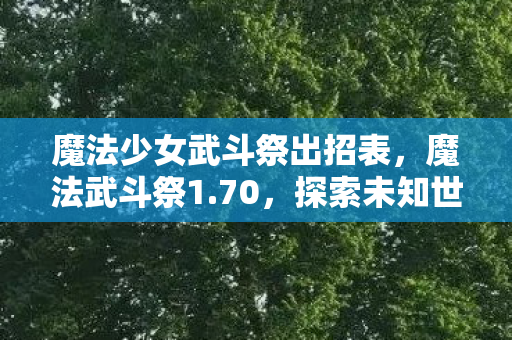 魔法少女武斗祭出招表,魔法武斗祭1.70,探索未知世界的奇幻之旅 魔法少女武斗祭出招表,魔法武斗祭1.70,探索未知世界的奇幻之旅