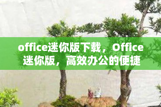office迷你版下载，Office 迷你版，高效办公的便捷选择