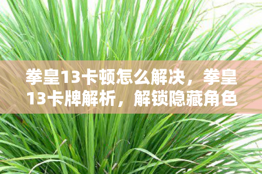 拳皇13卡顿怎么解决，拳皇13卡牌解析，解锁隐藏角色与强力技能