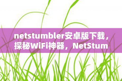 netstumbler安卓版下载,探秘WiFi神器,NetStumbler的下载与功能解析 netstumbler安卓版下载,探秘WiFi神器,NetStumbler的下载与功能解析