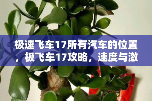 极速飞车17所有汽车的位置,极飞车17攻略,速度与激情的终极挑战 极速飞车17所有汽车的位置,极飞车17攻略,速度与激情的终极挑战