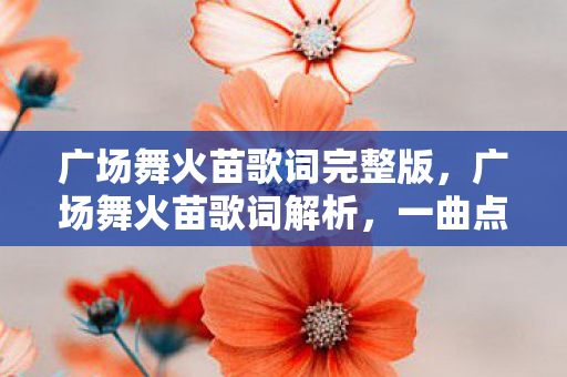 广场舞火苗歌词完整版，广场舞火苗歌词解析，一曲点燃激情的舞蹈之歌