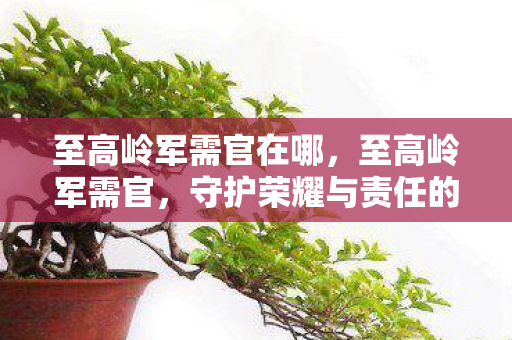 守护荣耀与责任的传奇图片