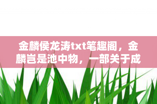 一部关于成长与逆袭的传奇故事图片