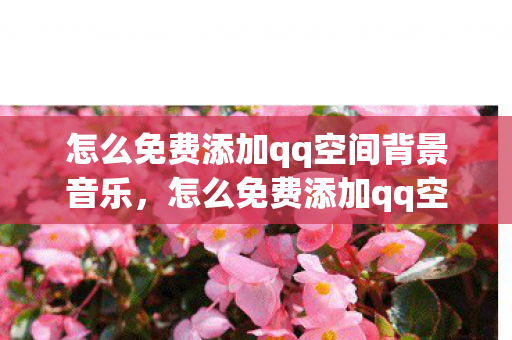 怎么免费添加qq空间背景音乐图片