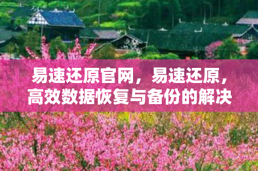 高效数据恢复与备份的解决方案图片