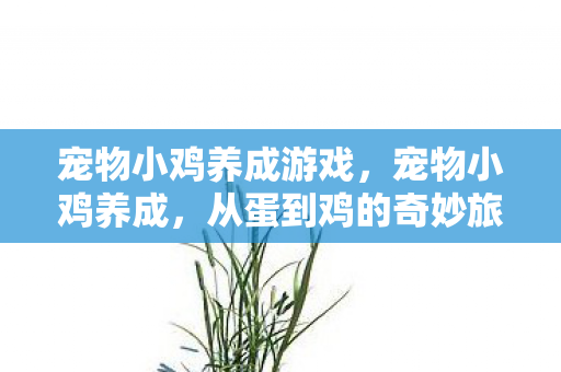 从蛋到鸡的奇妙旅程图片