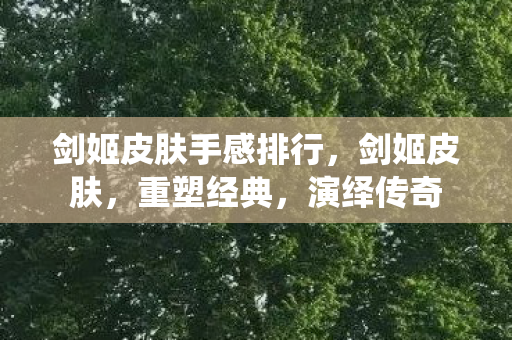 剑姬皮肤手感排行图片