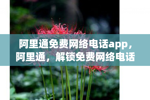 阿里通免费网络电话app图片