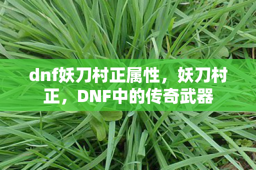 dnf妖刀村正属性图片