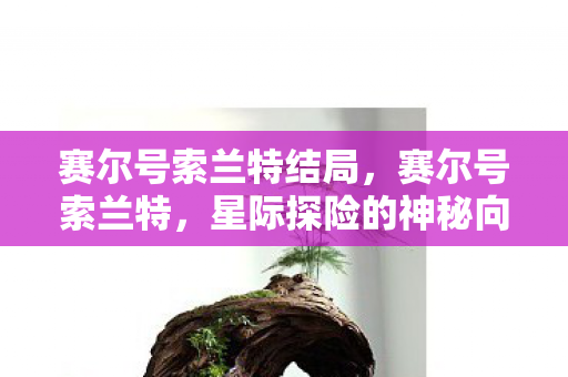 星际探险的神秘向导图片