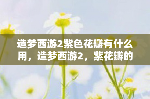 造梦西游2紫色花瓣有什么用图片