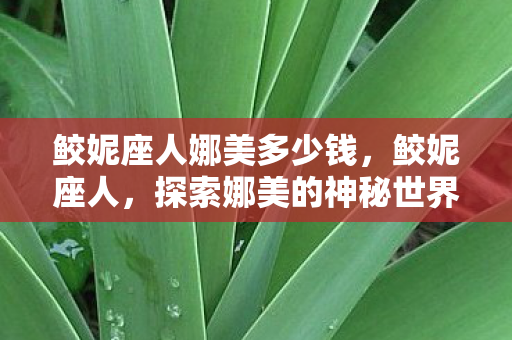 鲛妮座人娜美多少钱图片