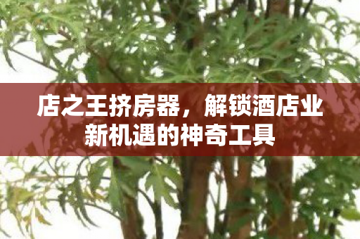 解锁酒店业新机遇的神奇工具图片