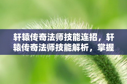 轩辕传奇法师技能连招图片