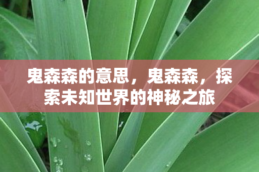 探索未知世界的神秘之旅图片