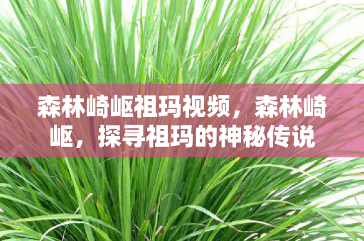 探寻祖玛的神秘传说图片