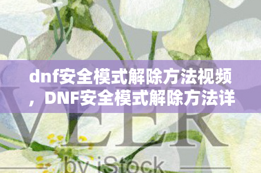 dnf安全模式解除方法视频图片