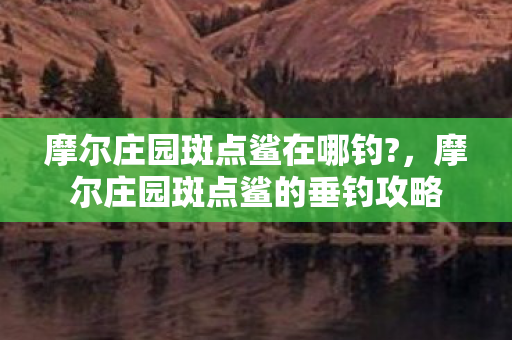 摩尔庄园斑点鲨在哪钓?，摩尔庄园斑点鲨的垂钓攻略