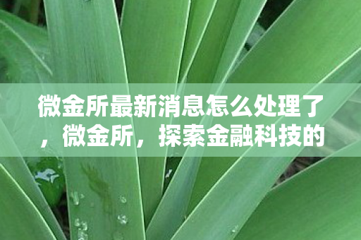 微金所最新消息怎么处理了图片